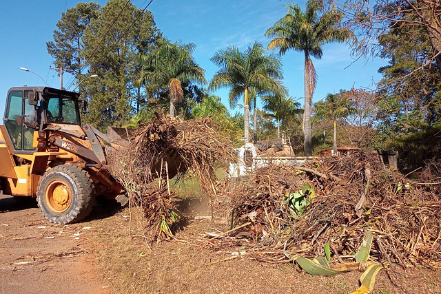 Mais árvores plantadas e ruas limpas no Park Way