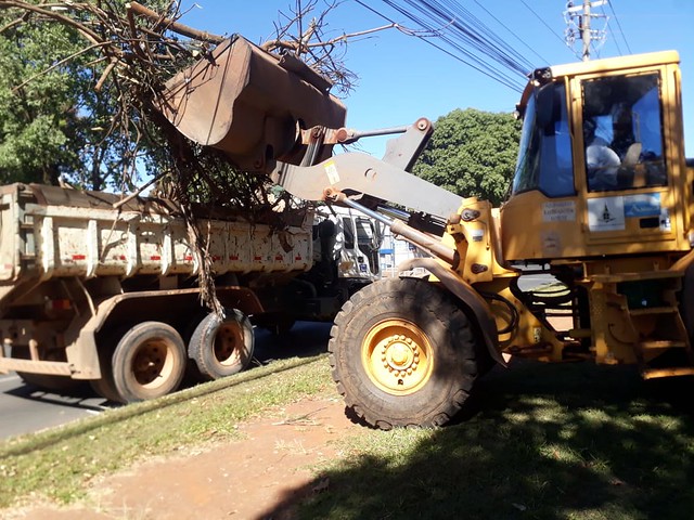 Podas de árvores e mais mobilidade nas calçadas do Hmib