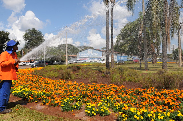 Árvores e flores são um atrativo à parte na capital