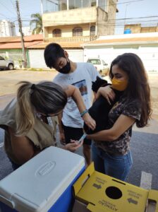 Vacinação antirrábica neste sábado (11) no Guará