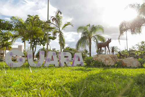 Guará completa 54 anos com mais de R$ 300 milhões de investimentos este ano