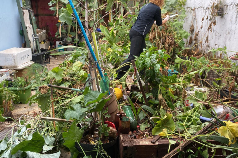 Ação conjunta retira lixo da casa de acumulador em Taguatinga