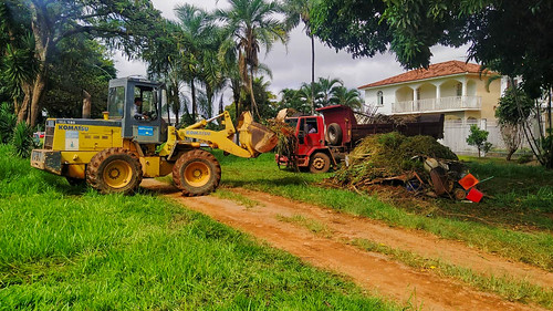 25/03/2024 - Ações do Dia D de combate à dengue recolhem 17 mil toneladas de lixo