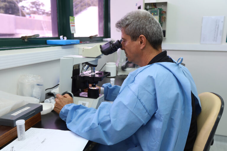 Laboratório é peça-chave para diagnóstico, pesquisa e vigilância na rede pública de saúde
