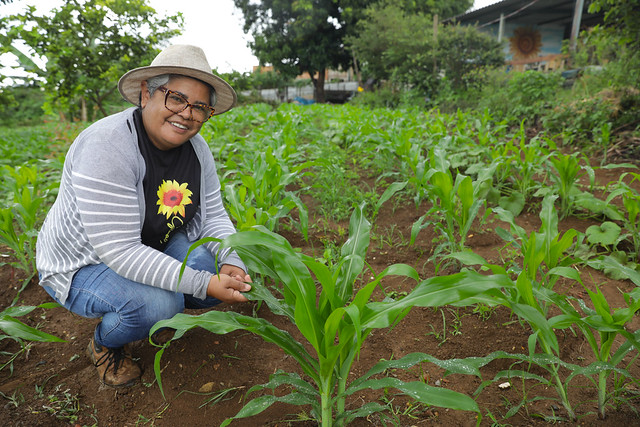 19/01/2025 - Programa de agricultura urbana estimula produção de baixo custo e contribui com segurança alimentar do DF